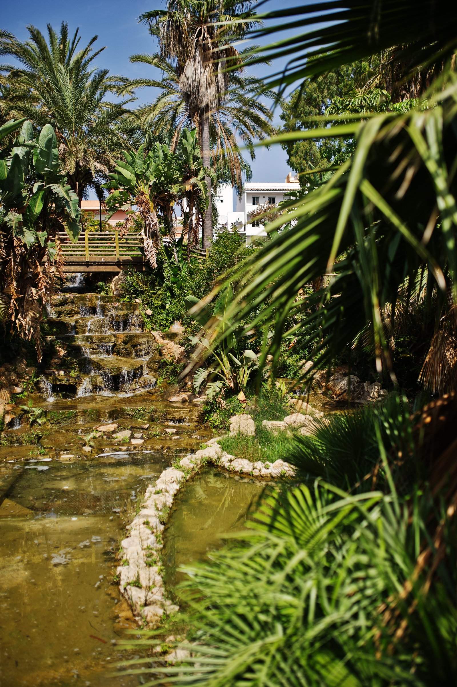Courtyard garden